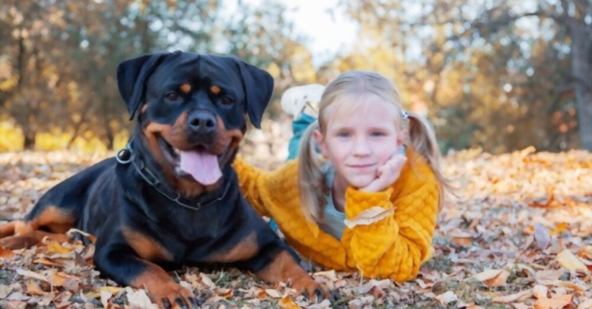 Rottweilers Good with Kids (2)