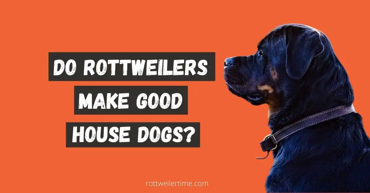 Do Rottweilers Make Good House Dogs