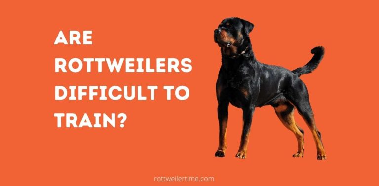 Are Rottweilers Difficult to Train