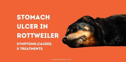 what causes bleeding ulcers in dogs