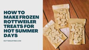 Frozen Rottweiler Treats for Hot Summer Days