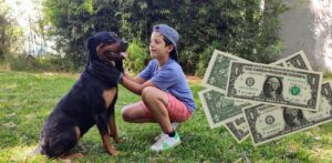 Hidden Costs of Owning a Rottweiler