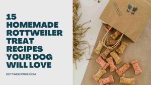 Homemade Rottweiler Treat Recipes