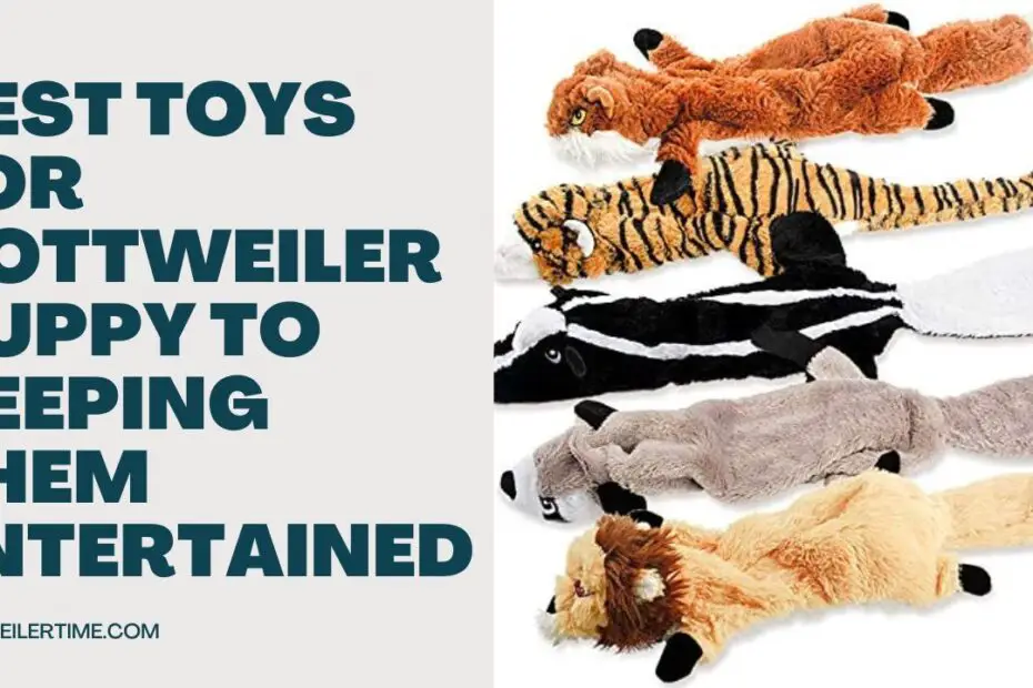 Best Toys for Rottweiler Puppy To Keeping Them Entertained