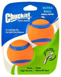 Chuckit Ultra Ball Dog Toy