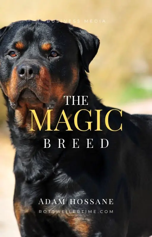 The Magic Breed
