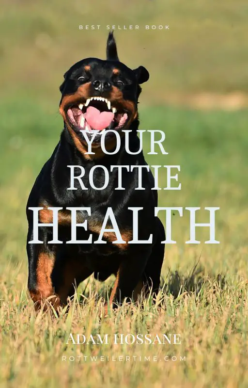 Rottweiler Health ebook